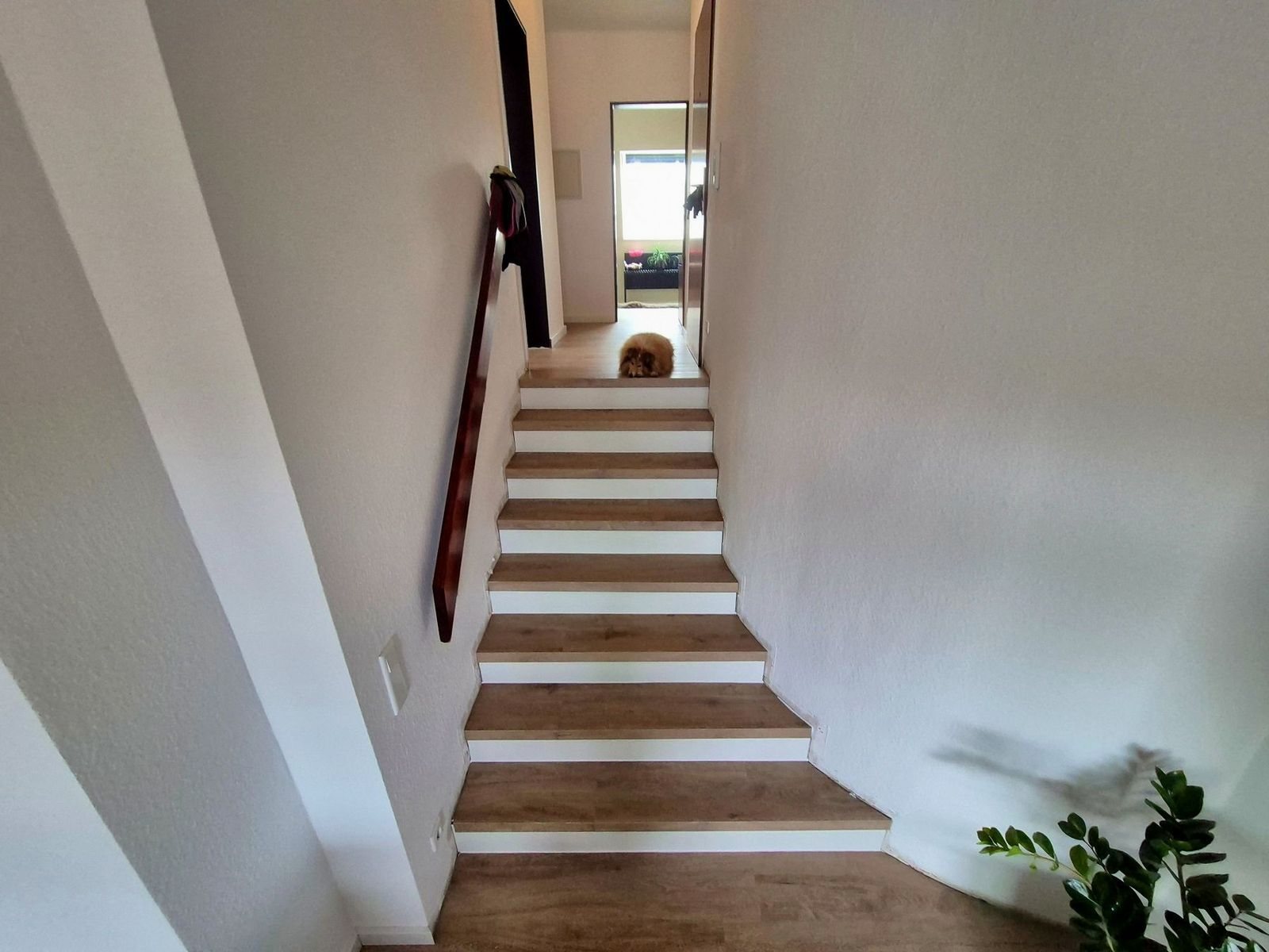 Gerade Treppe mit Trittstufen aus Holz und weißen Setzstufen